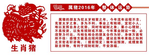屬豬的人2016年運勢 屬豬的人2016年運勢